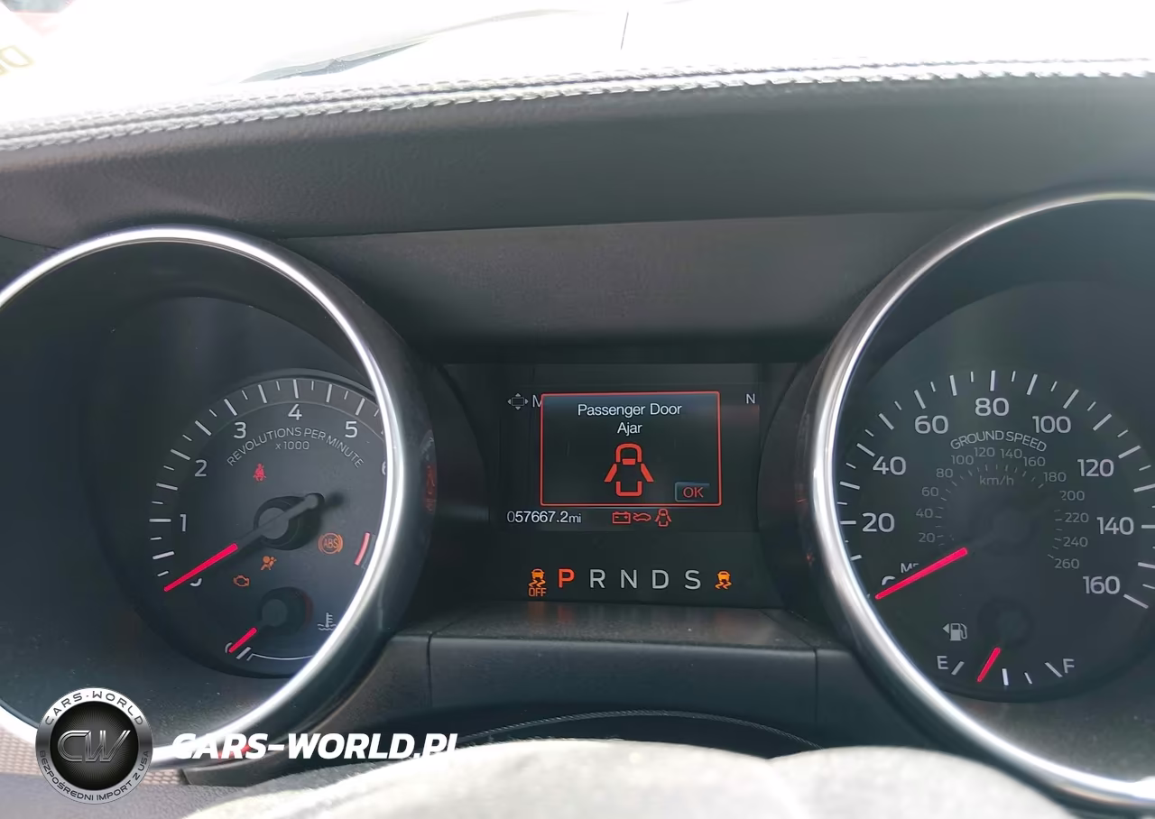 2019 Ford Mustang Gt VIN:1FA6P8CF6K5166751 - 7
