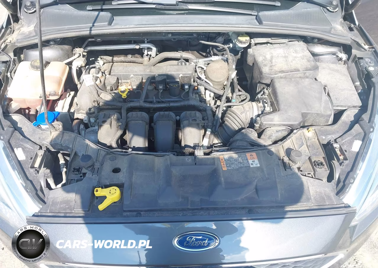 2016 Ford Focus Se VIN:1FADP3K23GL304032 - 10
