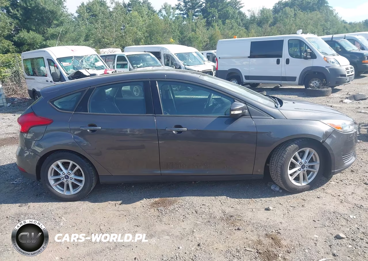 2016 Ford Focus Se VIN:1FADP3K23GL304032 - 14