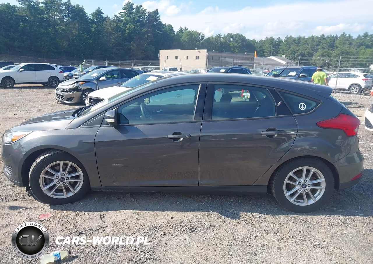 2016 Ford Focus Se VIN:1FADP3K23GL304032 - 15