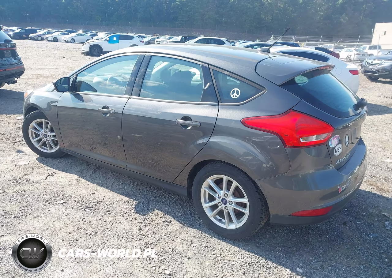 2016 Ford Focus Se VIN:1FADP3K23GL304032 - 3