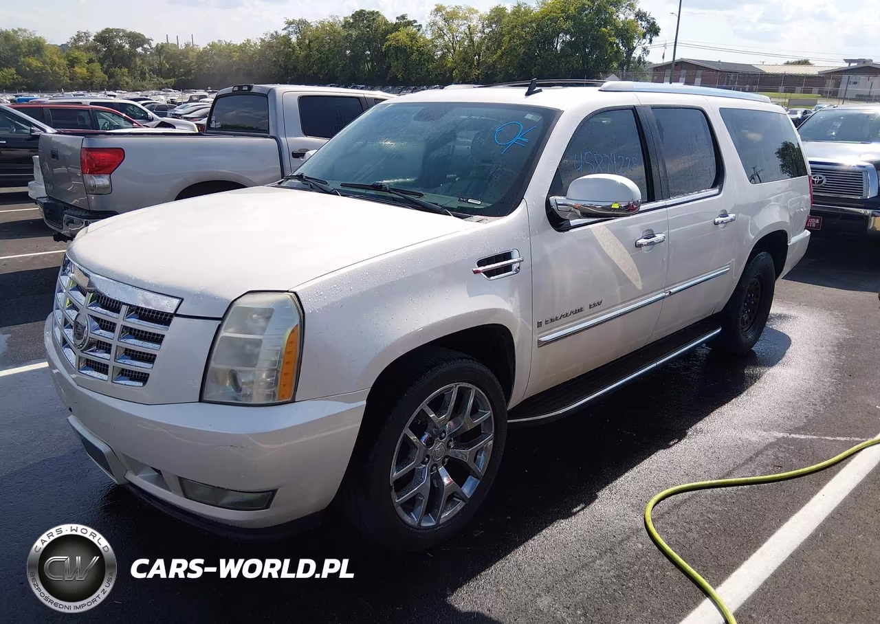 2009 Cadillac Escalade Esv Standard VIN:1GYFC16299R126098 - 2