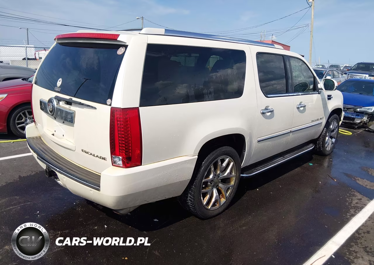 2009 Cadillac Escalade Esv Standard VIN:1GYFC16299R126098 - 4