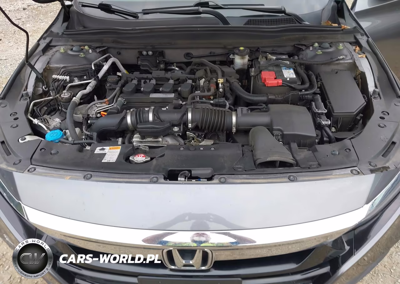 2019 Honda Accord Lx VIN:1HGCV1F11KA035004 - 10