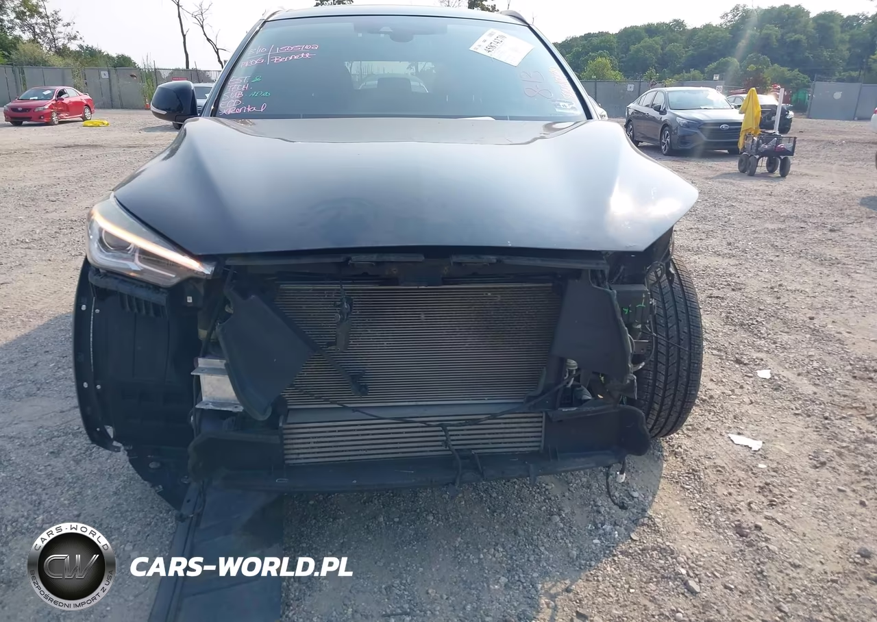 2019 Infiniti Qx50 Luxe VIN:3PCAJ5M3XKF124624 - 12