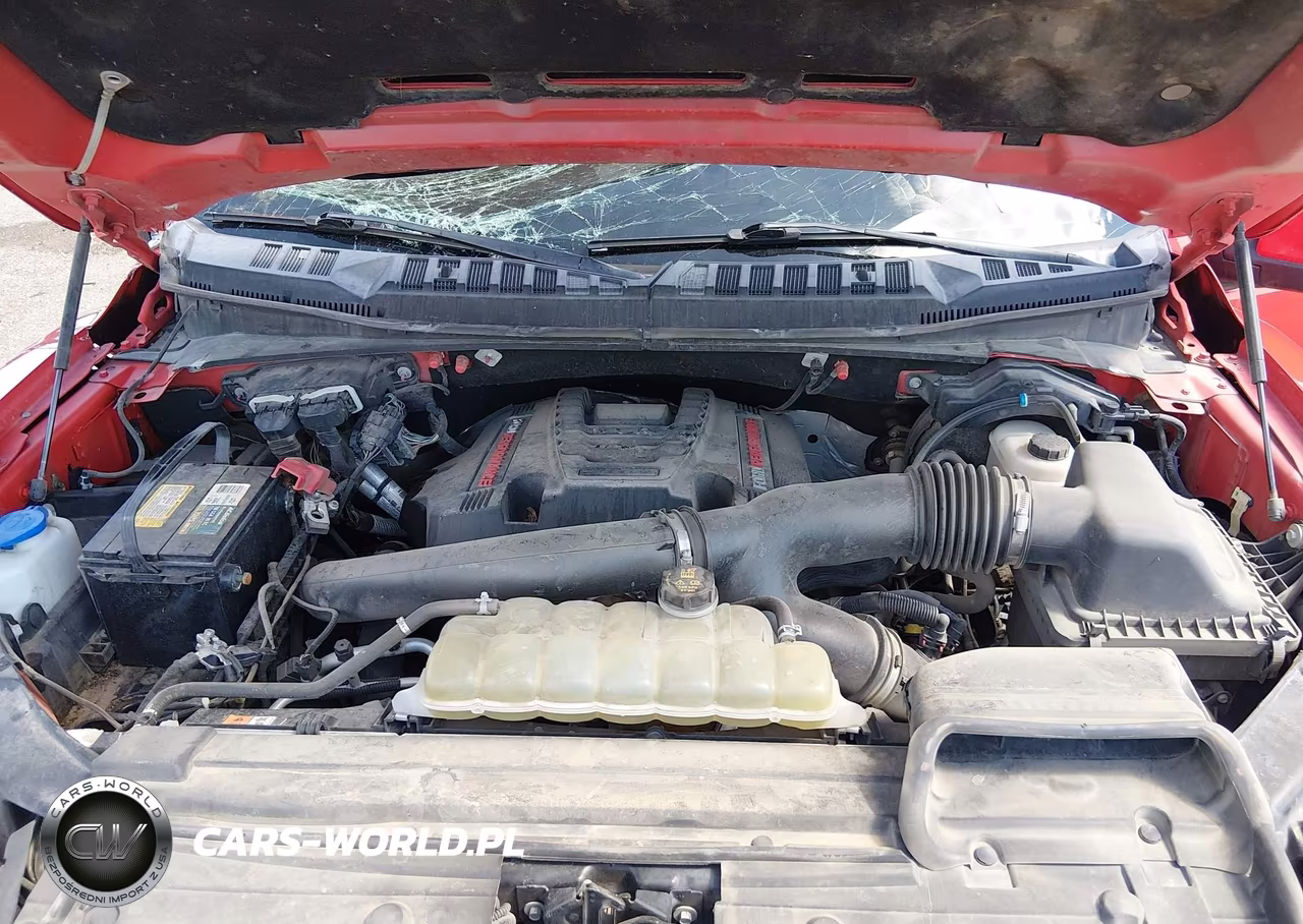 2019 Ford F-150 Raptor VIN:1FTFW1RG7KFD00858 - 10