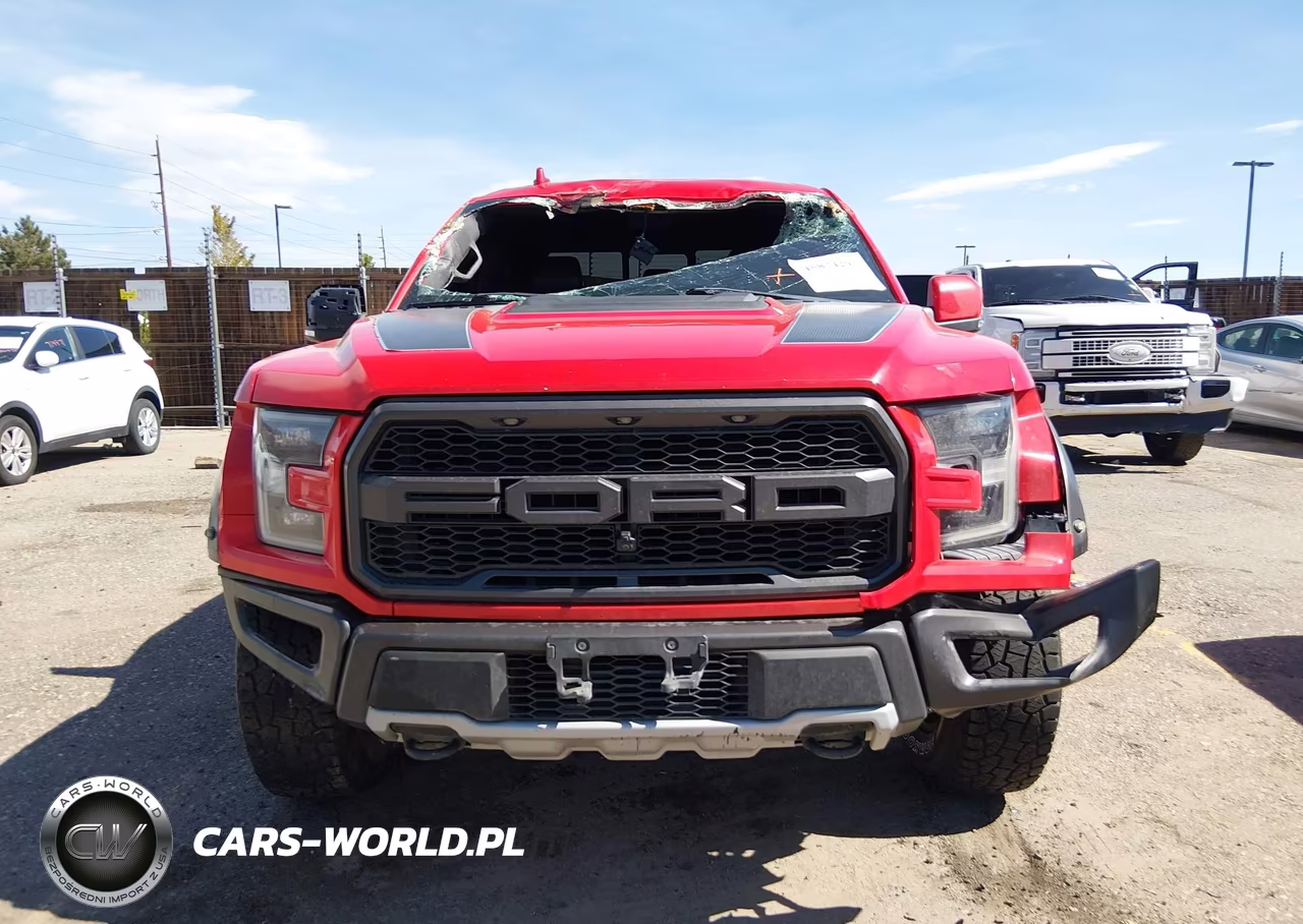 2019 Ford F-150 Raptor VIN:1FTFW1RG7KFD00858 - 12