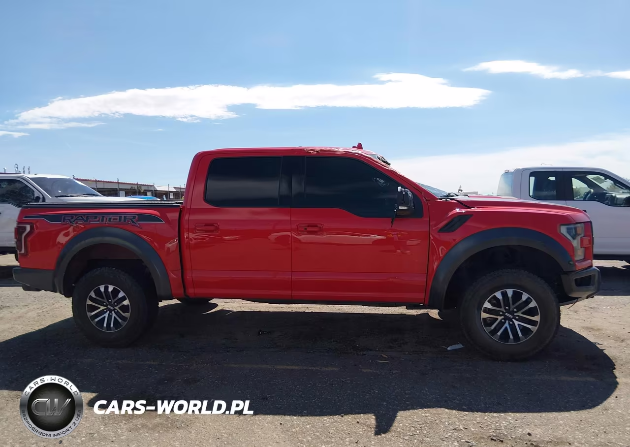 2019 Ford F-150 Raptor VIN:1FTFW1RG7KFD00858 - 13
