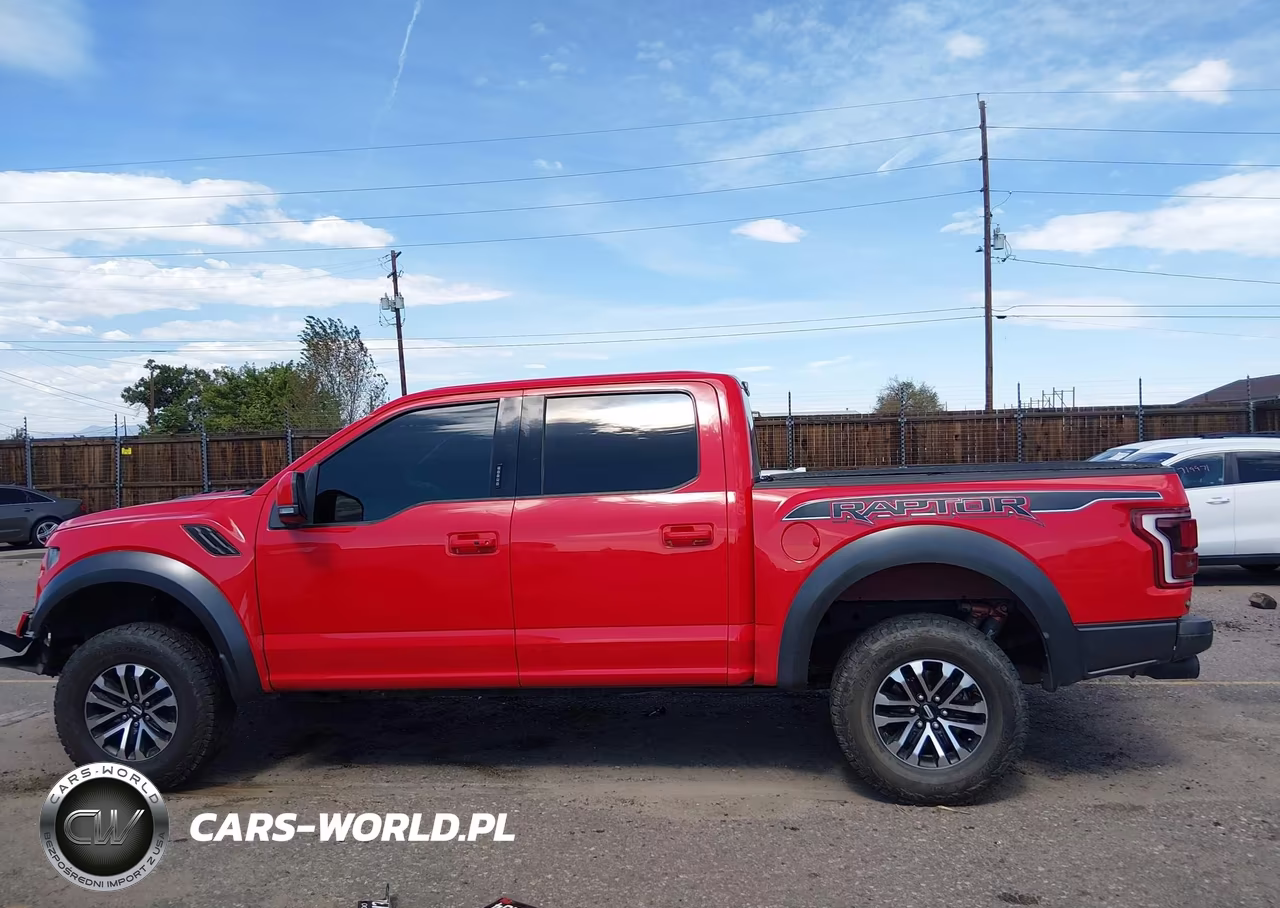 2019 Ford F-150 Raptor VIN:1FTFW1RG7KFD00858 - 14