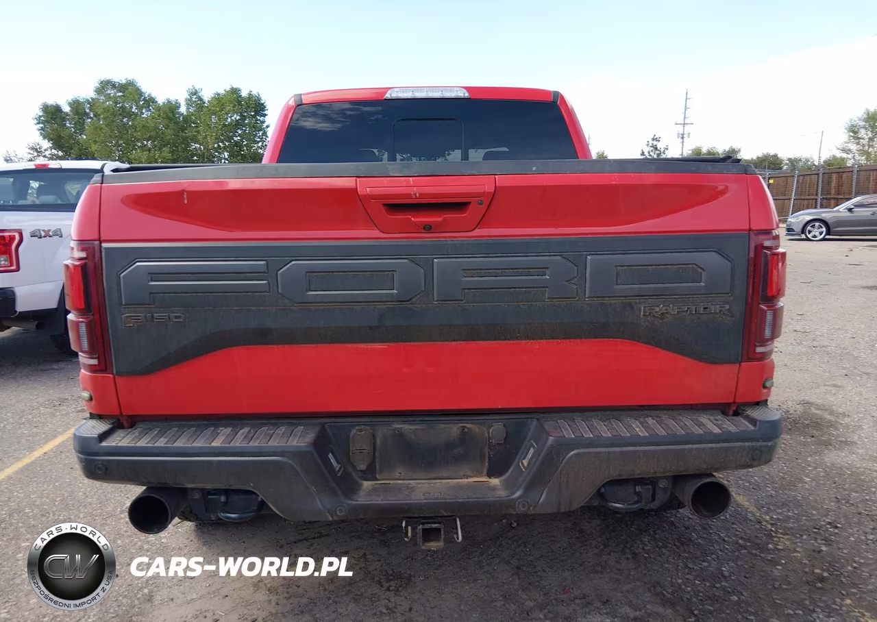2019 Ford F-150 Raptor VIN:1FTFW1RG7KFD00858 - 16