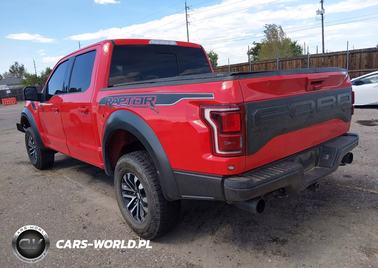 2019 Ford F-150 Raptor VIN:1FTFW1RG7KFD00858 - 3