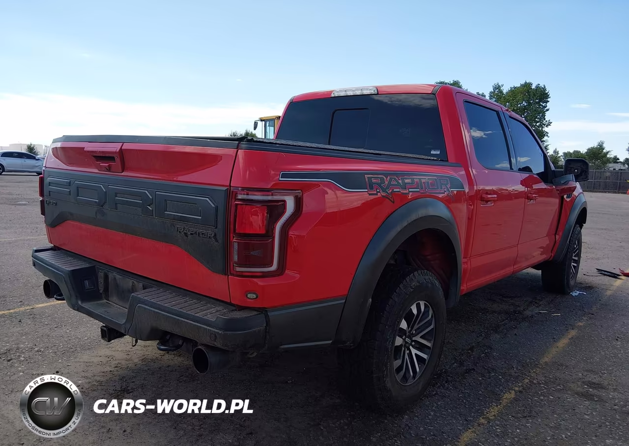 2019 Ford F-150 Raptor VIN:1FTFW1RG7KFD00858 - 4