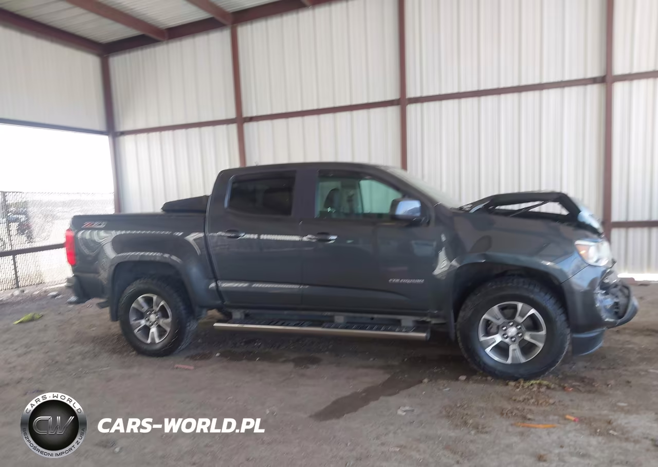 2017 Chevrolet Colorado 4Wd Z71 VIN:1GCGTDEN2H1215676 - 13