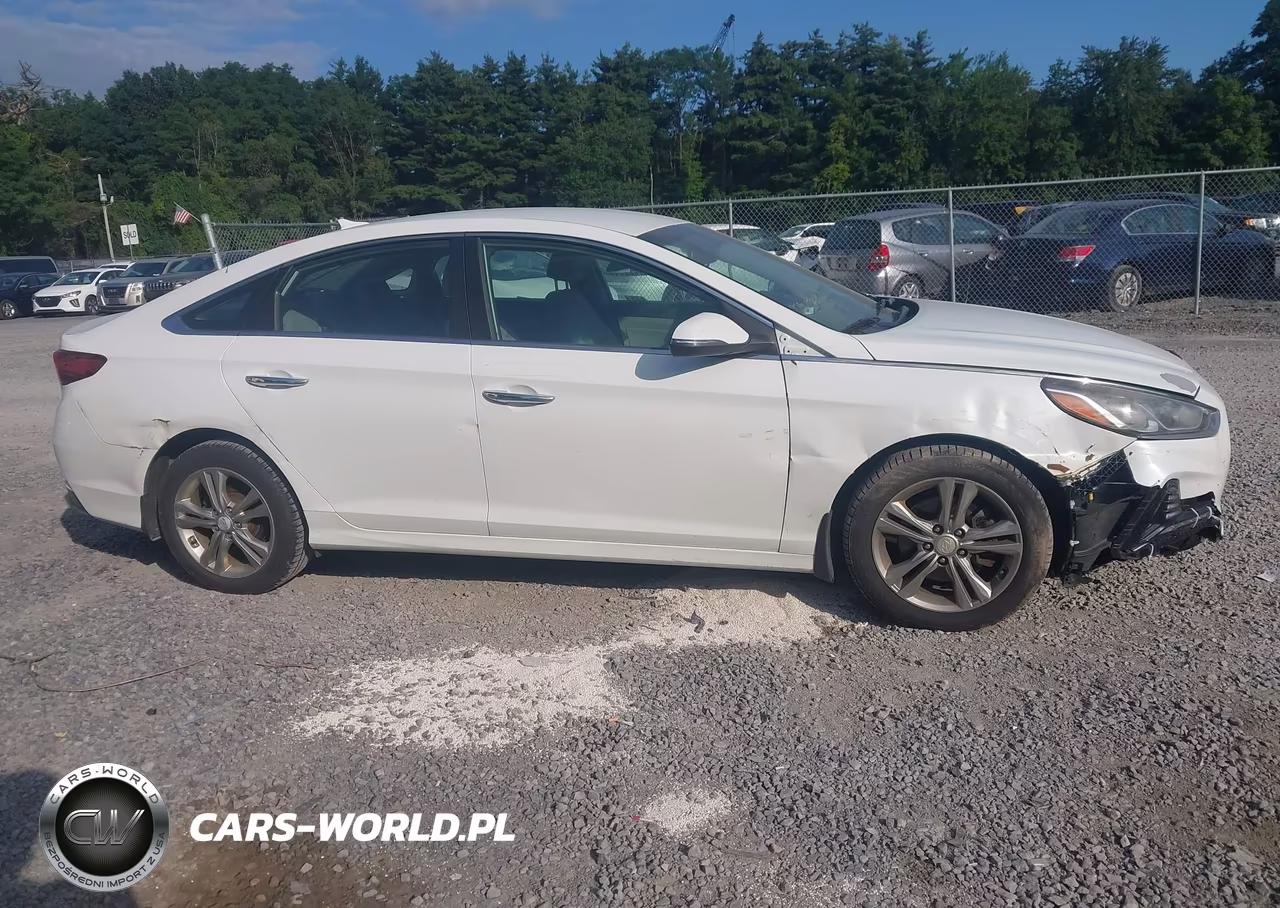 2018 Hyundai Sonata Sport-Limited-Sel VIN:5NPE34AF4JH657234 - 13