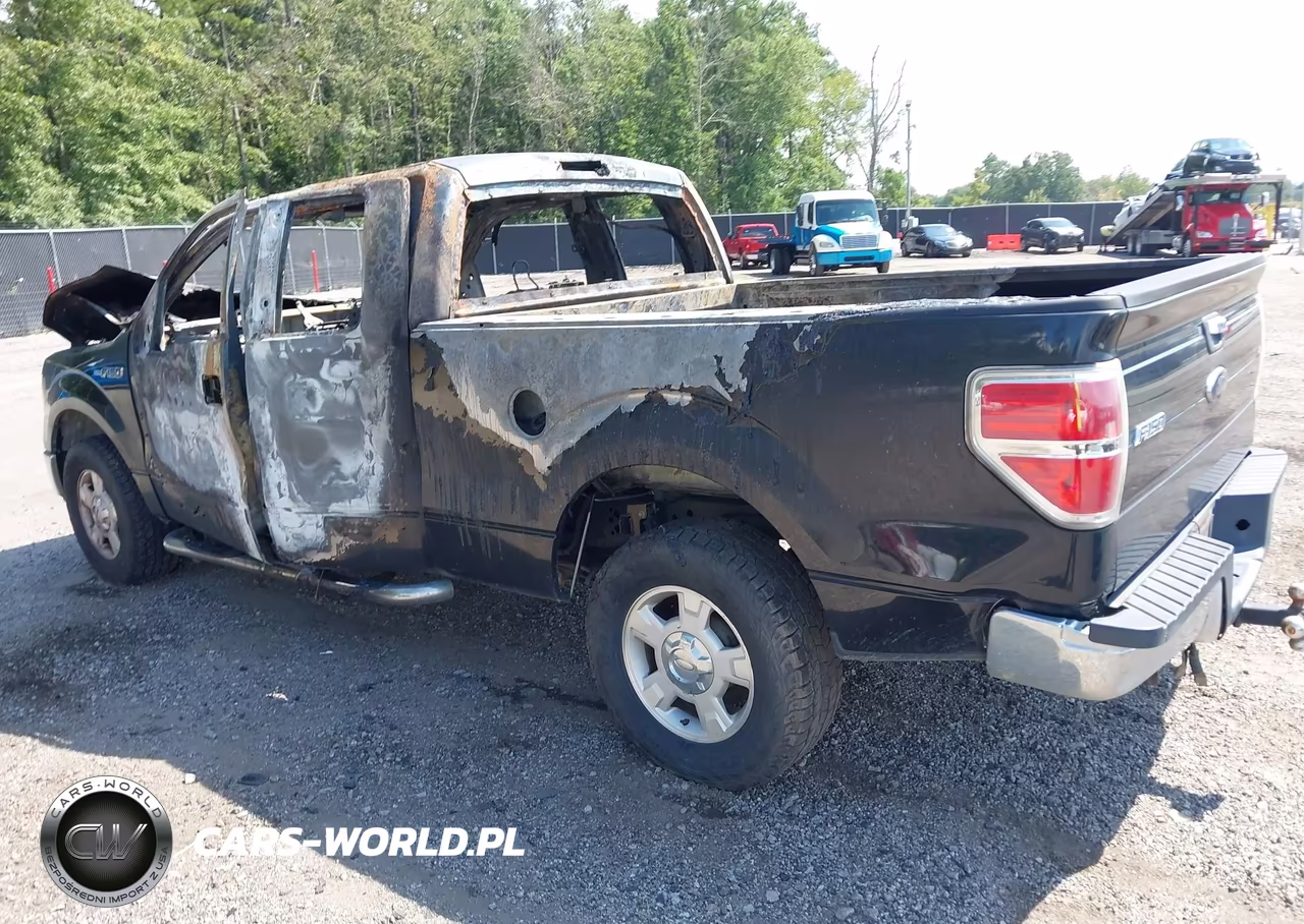 2010 Ford F-150 Fx2 Sport-Stx-Xl-Xlt VIN:1FTEX1C83AFC36701 - 3