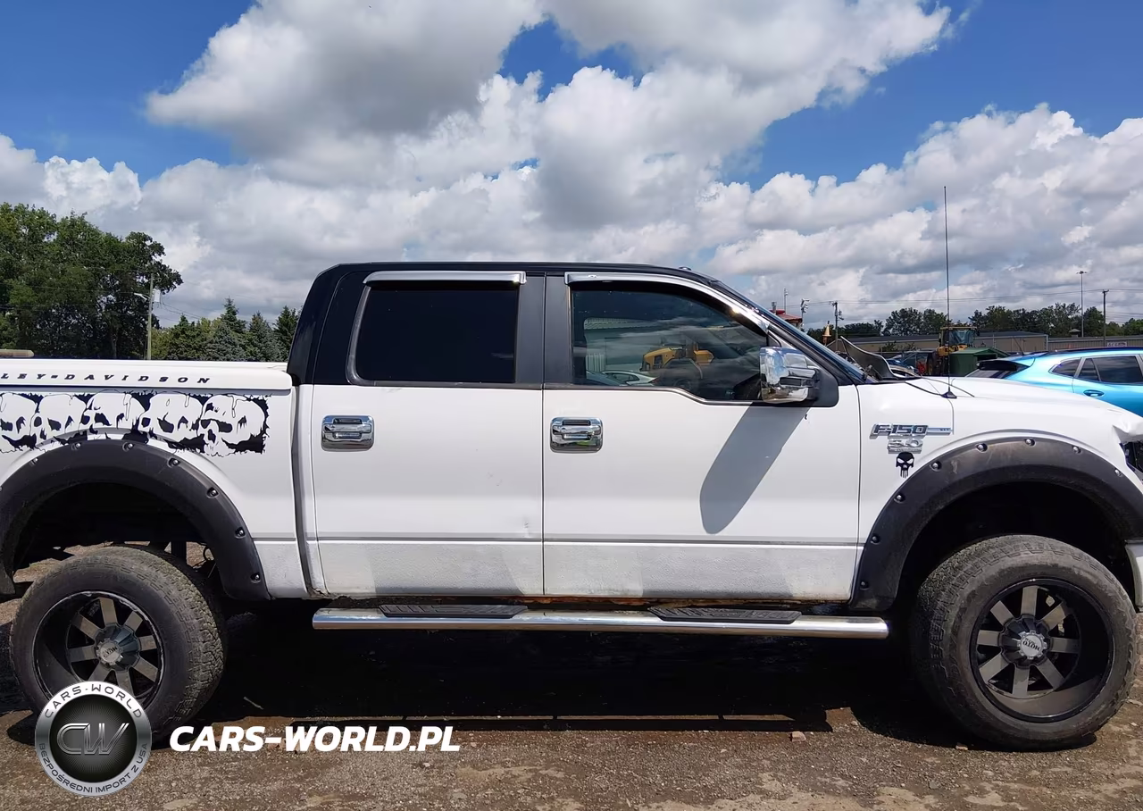 2013 Ford F-150 Xlt VIN:1FTFW1EF8DFA00519 - 13
