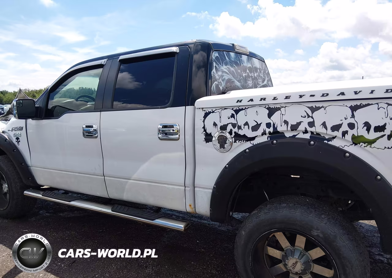 2013 Ford F-150 Xlt VIN:1FTFW1EF8DFA00519 - 14