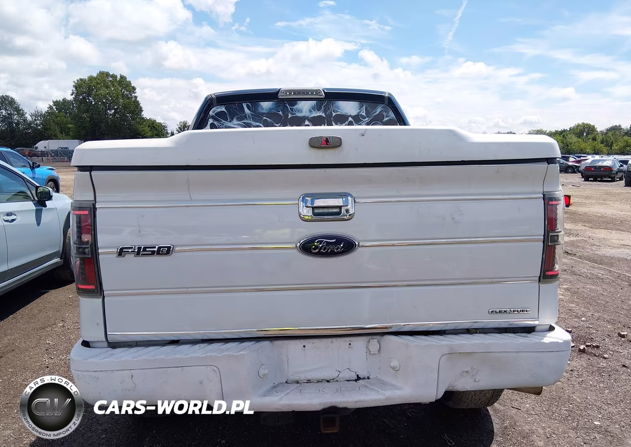 2013 Ford F-150 Xlt VIN:1FTFW1EF8DFA00519 - 16