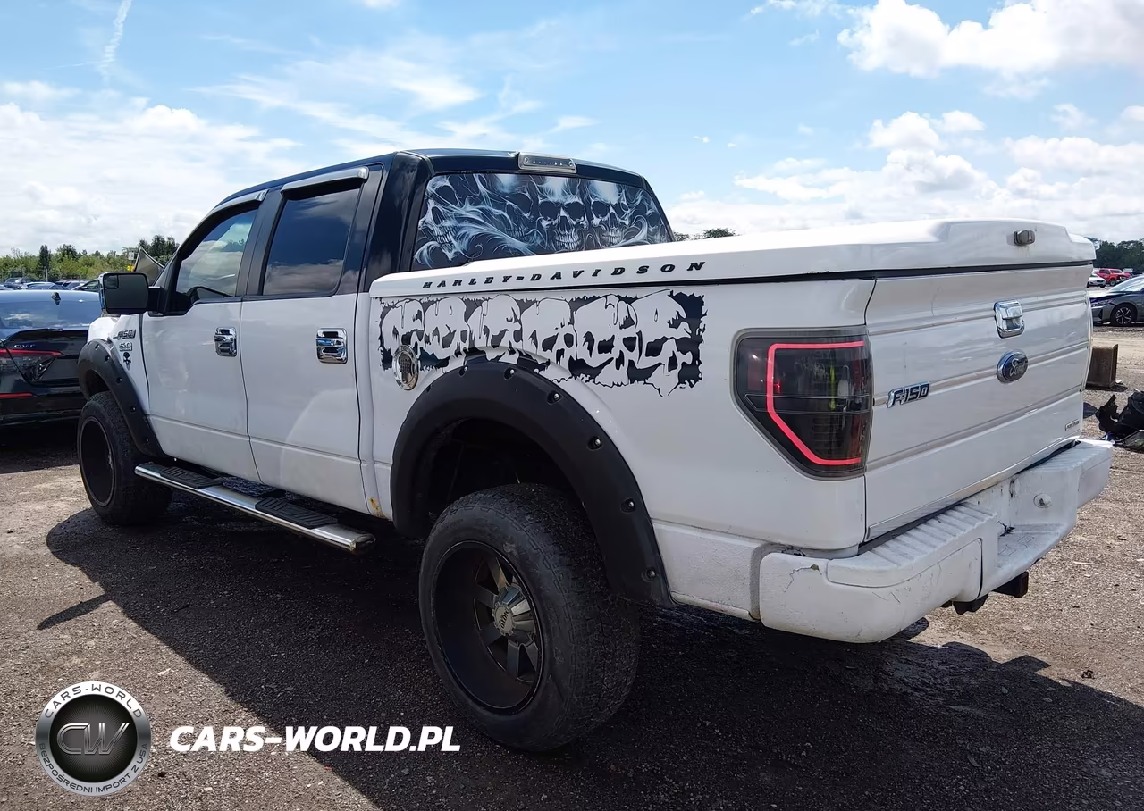 2013 Ford F-150 Xlt VIN:1FTFW1EF8DFA00519 - 3