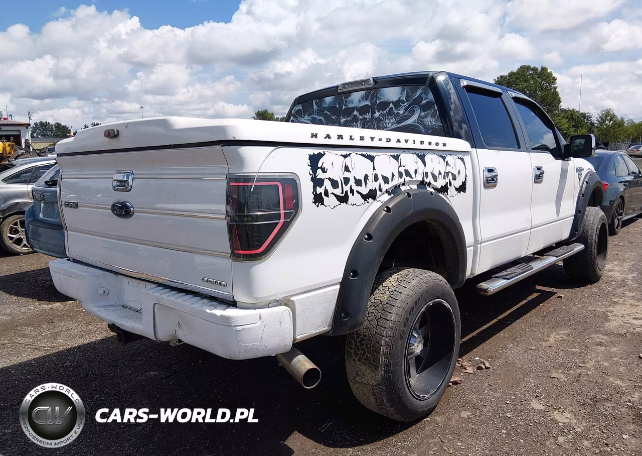 2013 Ford F-150 Xlt VIN:1FTFW1EF8DFA00519 - 4