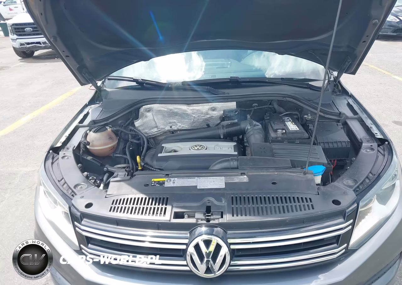 2015 Volkswagen Tiguan S VIN:WVGAV7AX7FW565695 - 10