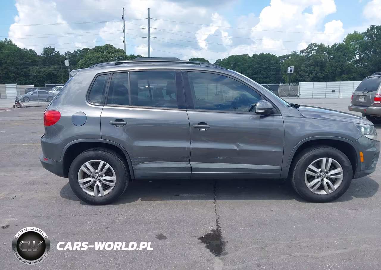 2015 Volkswagen Tiguan S VIN:WVGAV7AX7FW565695 - 13