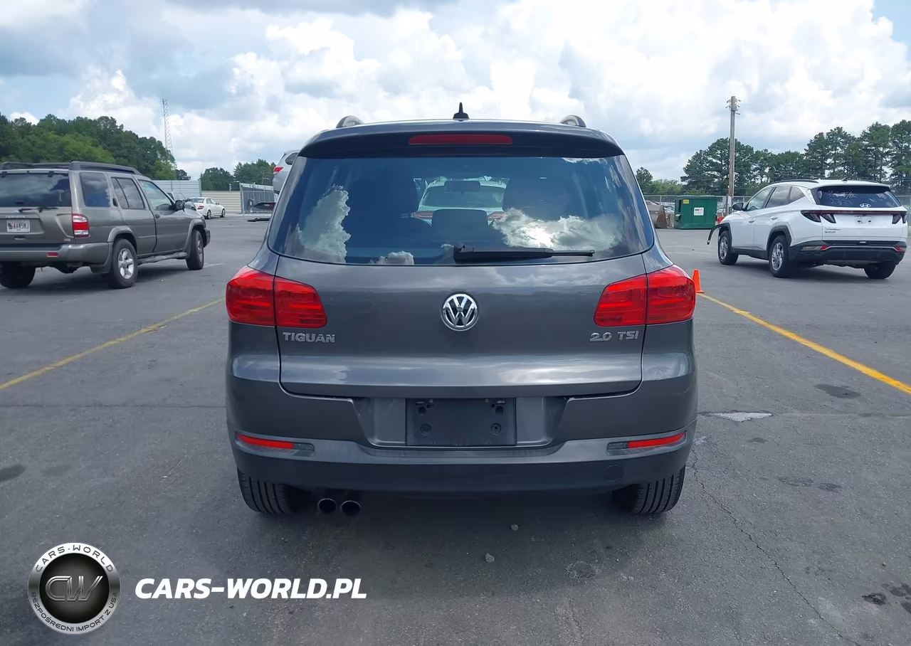2015 Volkswagen Tiguan S VIN:WVGAV7AX7FW565695 - 16