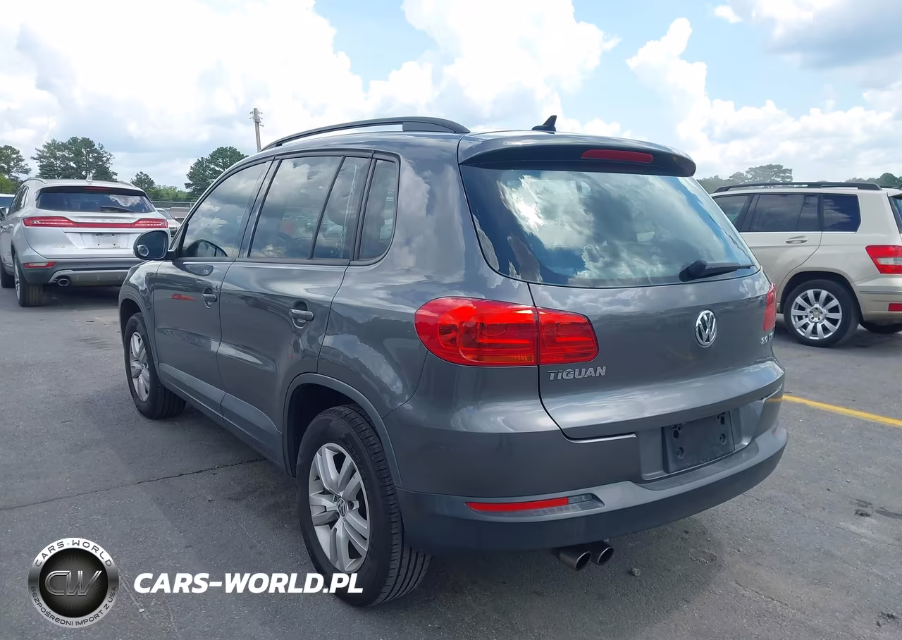 2015 Volkswagen Tiguan S VIN:WVGAV7AX7FW565695 - 3