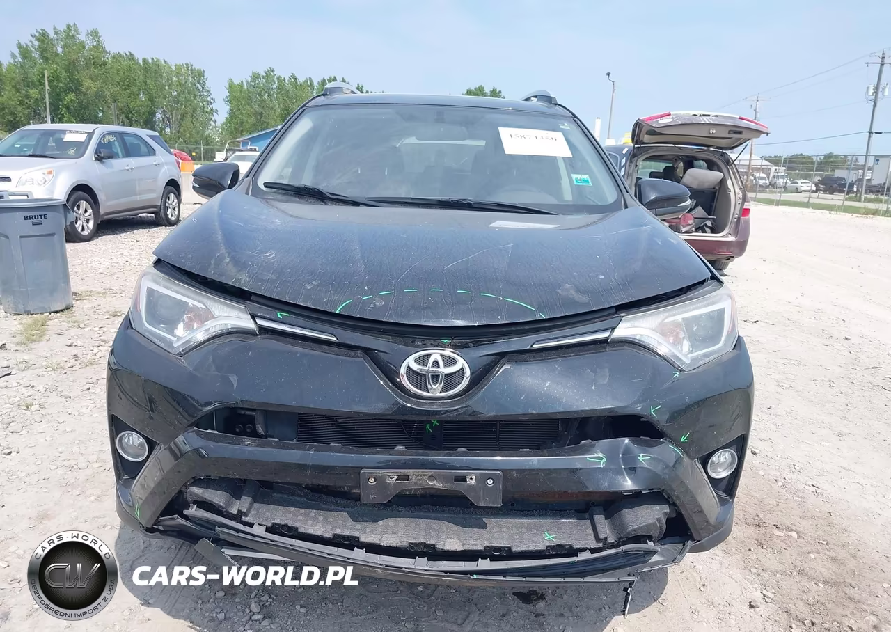 2016 Toyota Rav4 Xle VIN:2T3RFREV2GW487397 - 11