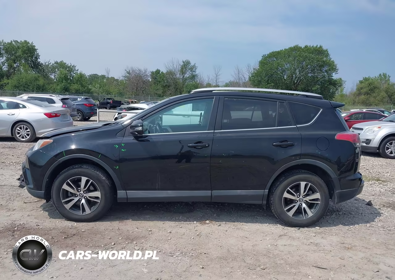 2016 Toyota Rav4 Xle VIN:2T3RFREV2GW487397 - 13