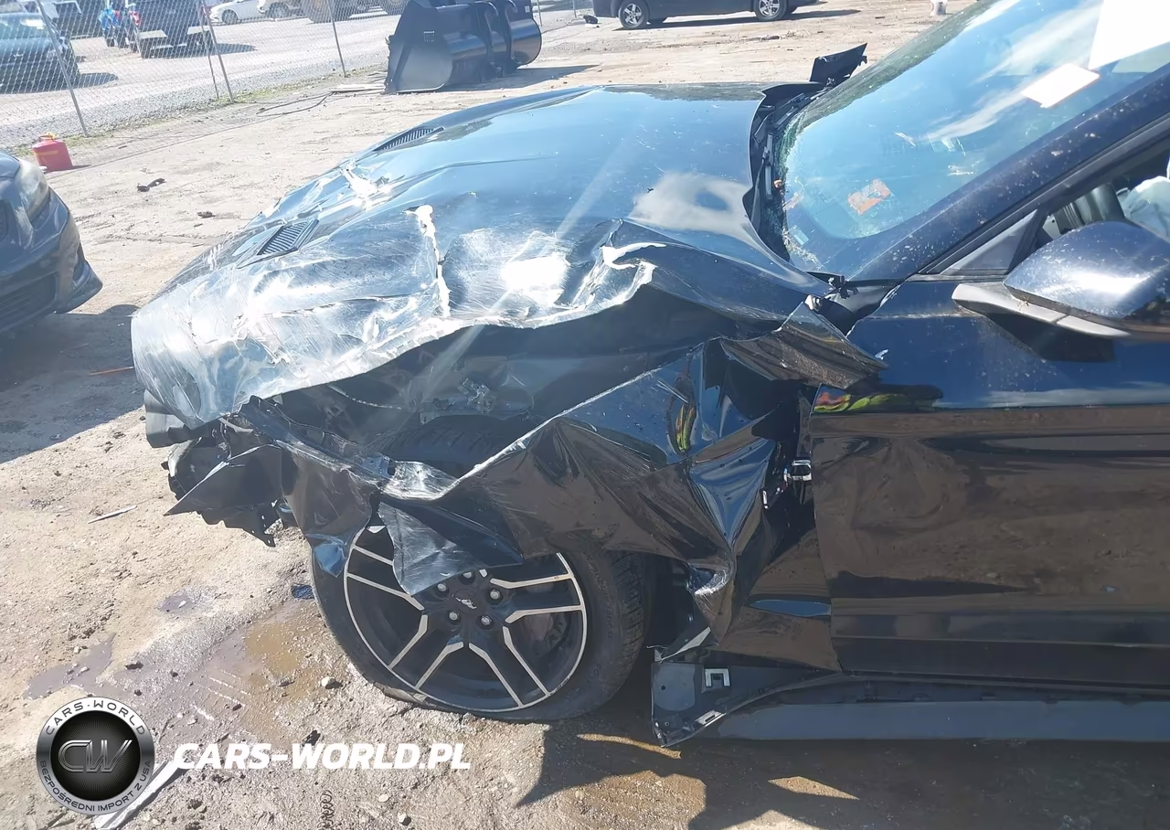2019 Ford Mustang Gt Premium VIN:1FATP8FF5K5104644 - 13