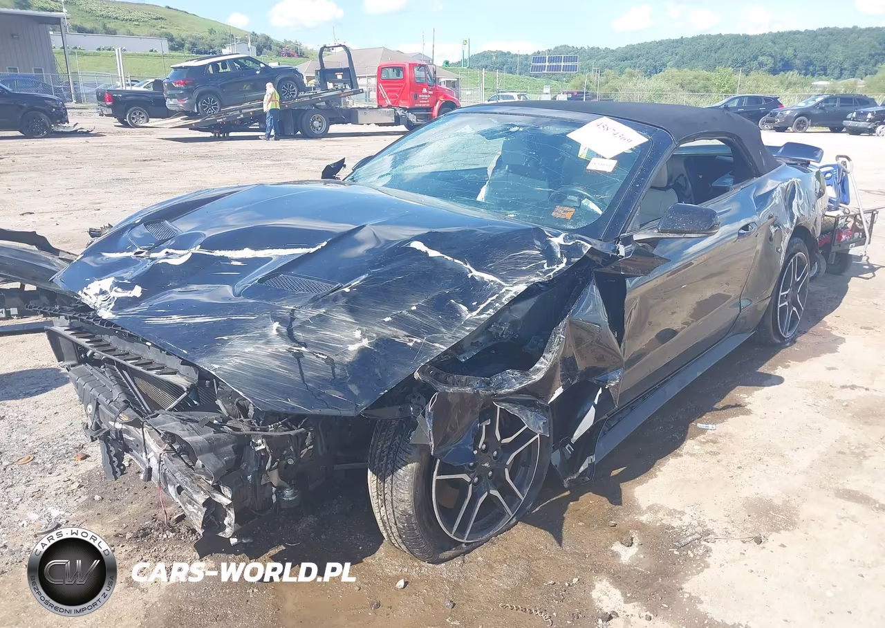 2019 Ford Mustang Gt Premium VIN:1FATP8FF5K5104644 - 2