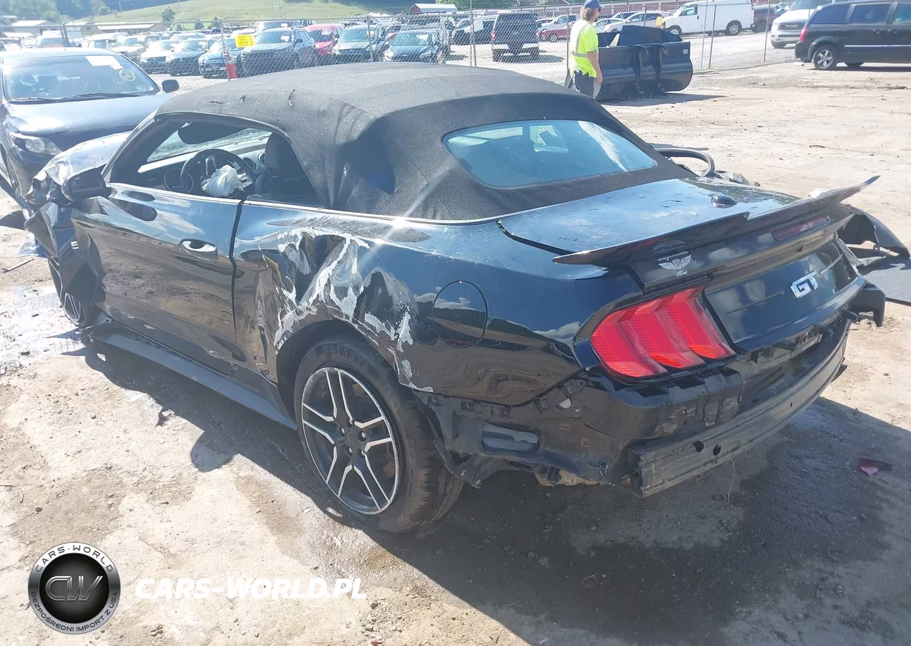2019 Ford Mustang Gt Premium VIN:1FATP8FF5K5104644 - 3