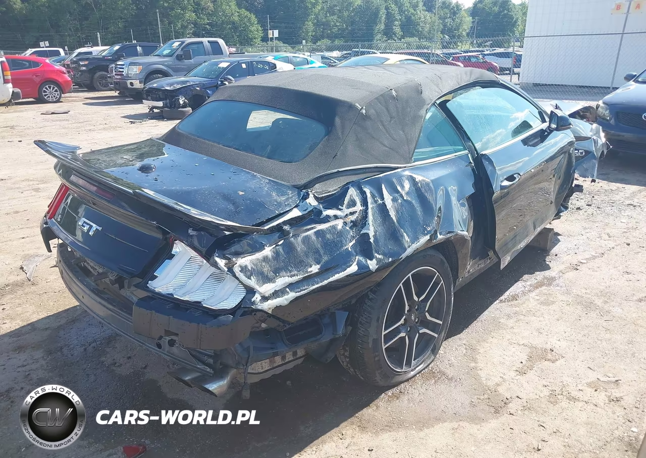 2019 Ford Mustang Gt Premium VIN:1FATP8FF5K5104644 - 4