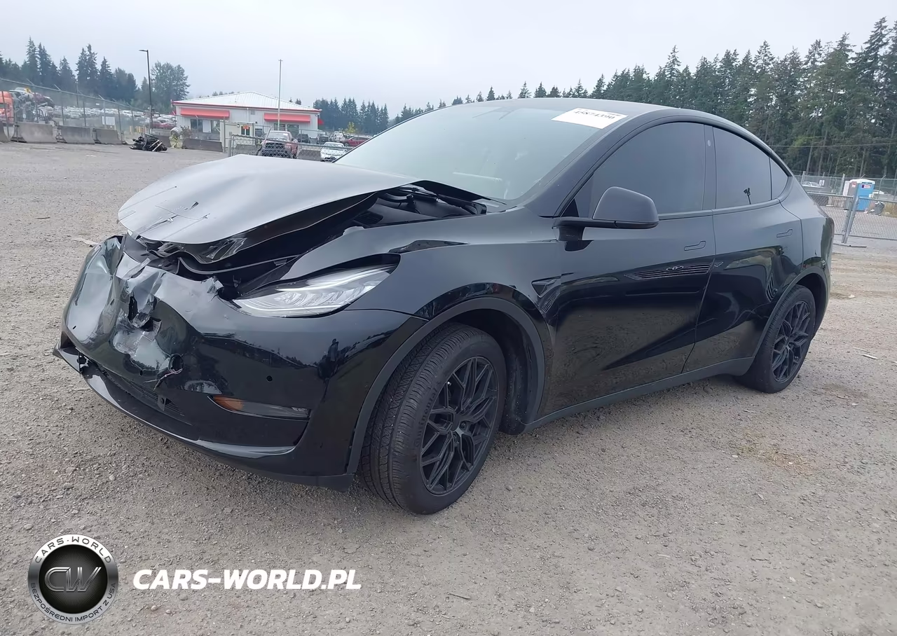 2022 Tesla Model Y VIN:7SAYGDEE4NF368347 - 2