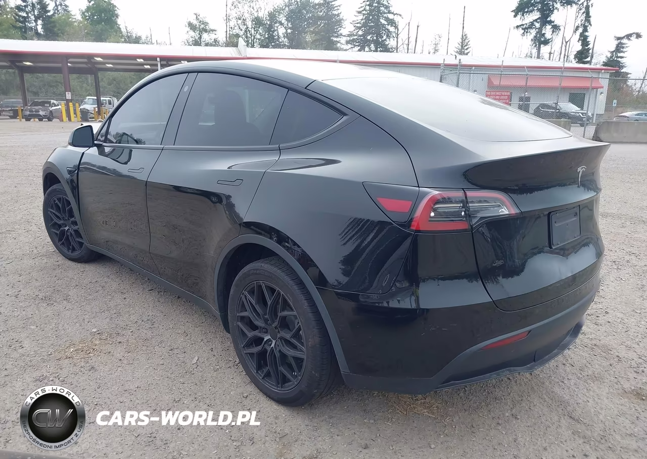 2022 Tesla Model Y VIN:7SAYGDEE4NF368347 - 3