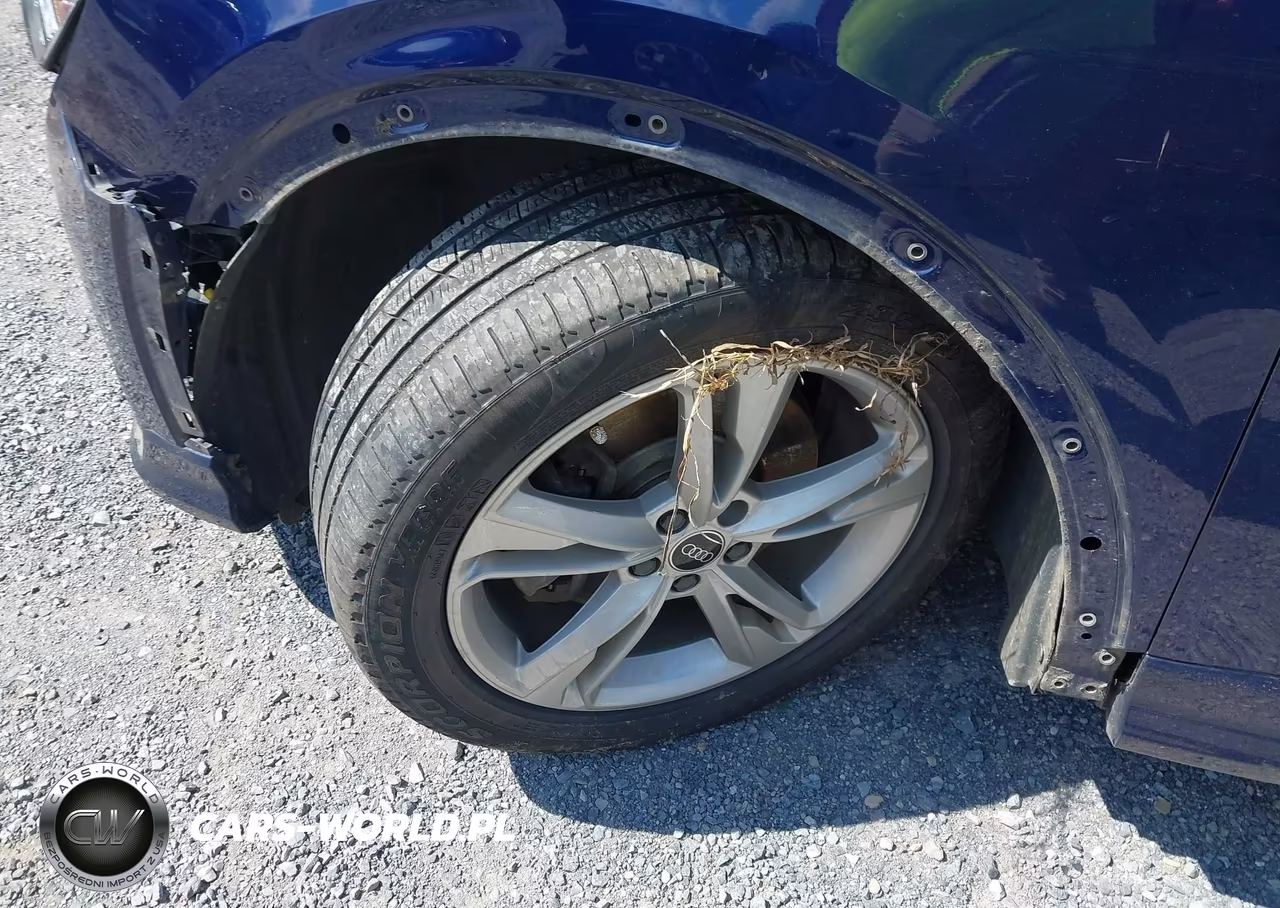 2023 Audi Q3 Premium Plus 45 Tfsi S Line Quattro Tiptronic VIN:WA1EECF34P1150203 - 12