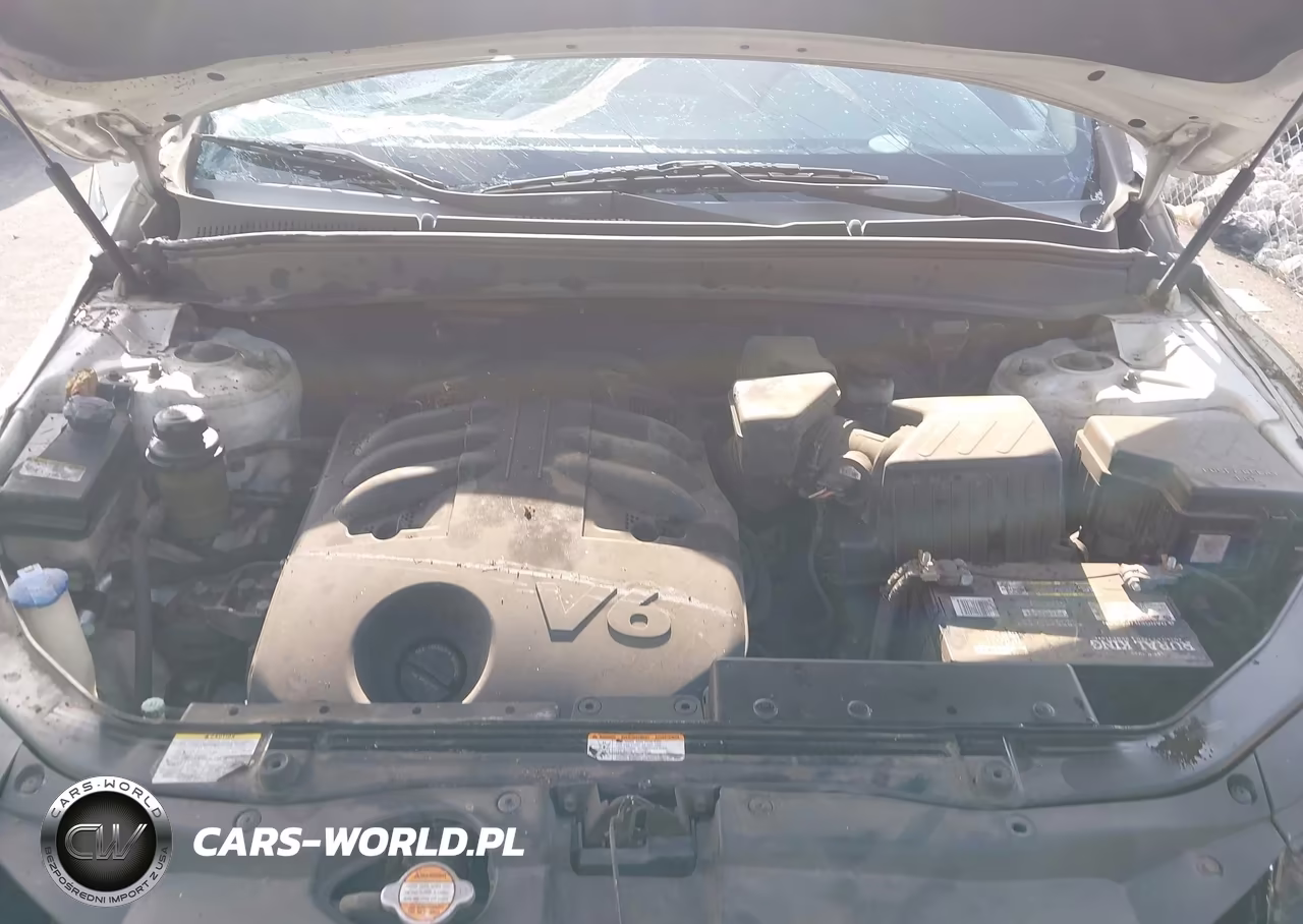 2009 Hyundai Santa Fe Limited VIN:5NMSH13E89H243339 - 10