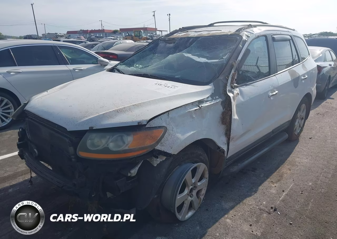 2009 Hyundai Santa Fe Limited VIN:5NMSH13E89H243339 - 2
