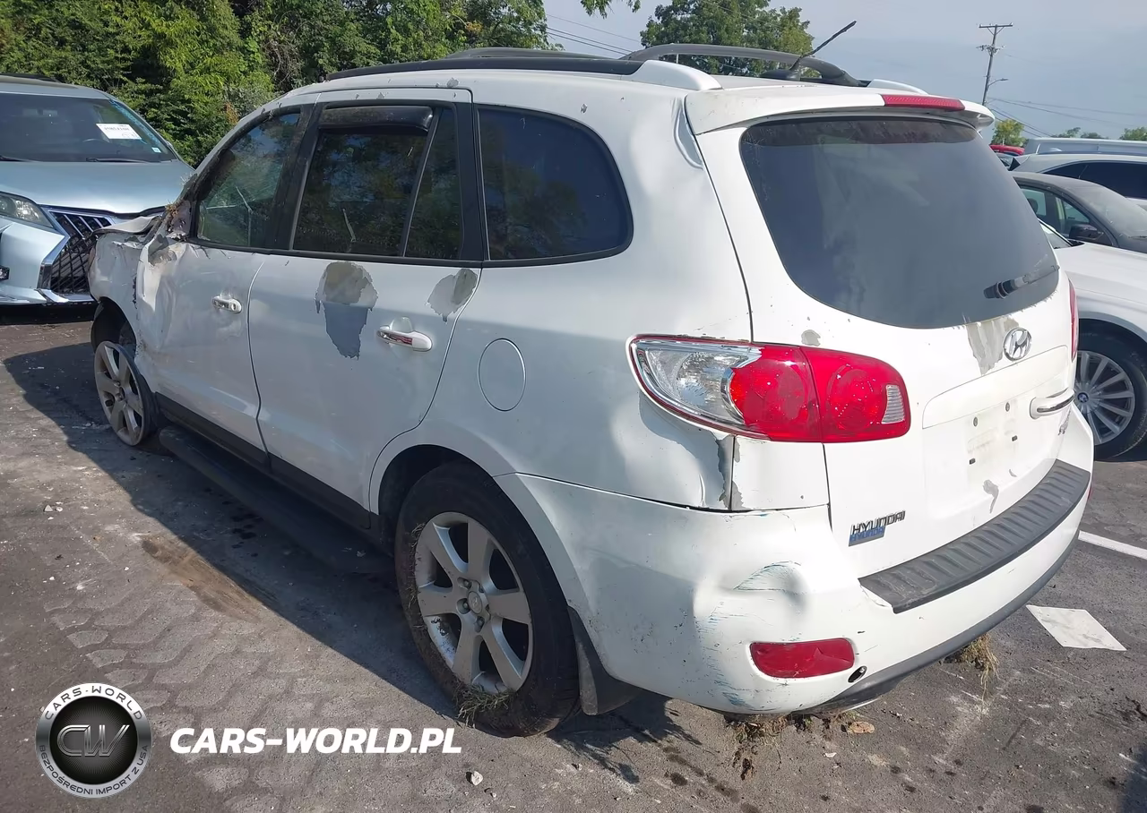 2009 Hyundai Santa Fe Limited VIN:5NMSH13E89H243339 - 3