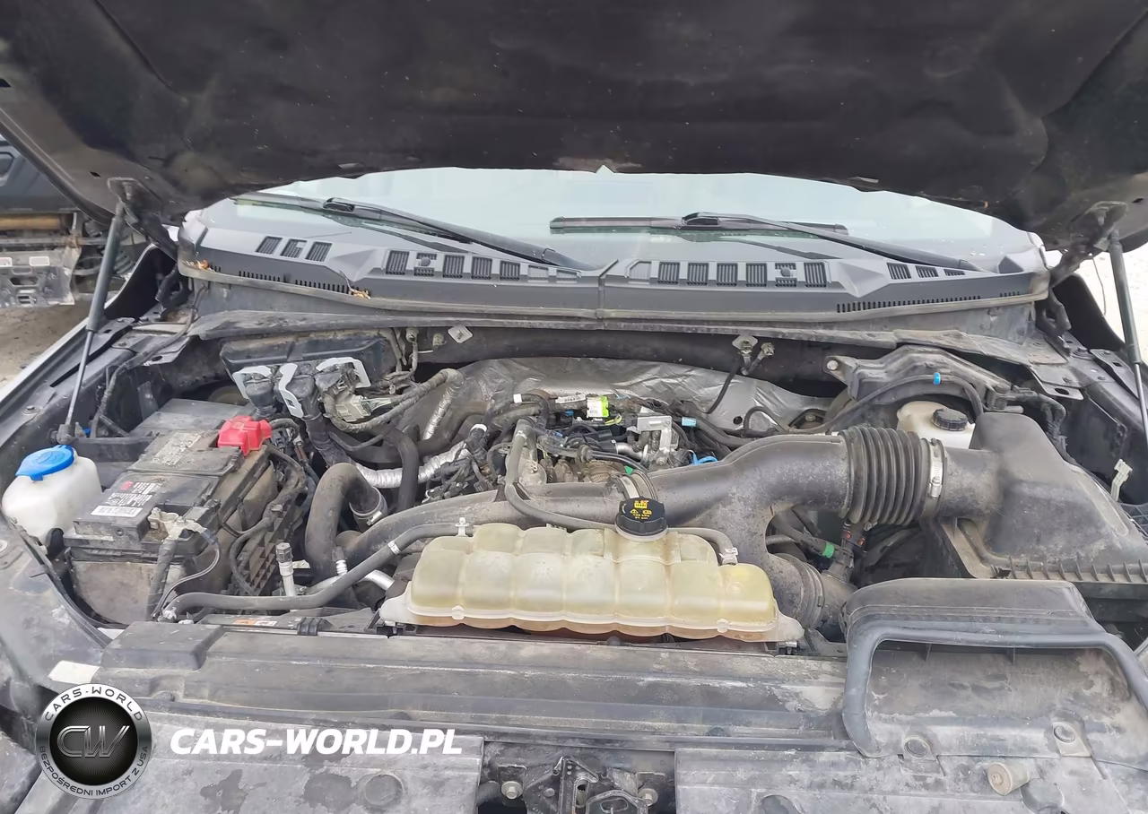 2019 Ford F-150 Xlt VIN:1FTEW1EP8KKD76937 - 10