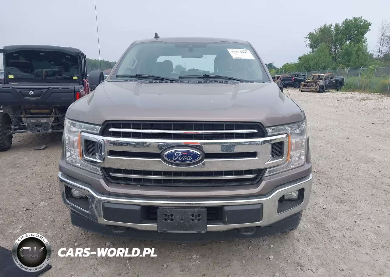 2019 Ford F-150 Xlt VIN:1FTEW1EP8KKD76937 - 12