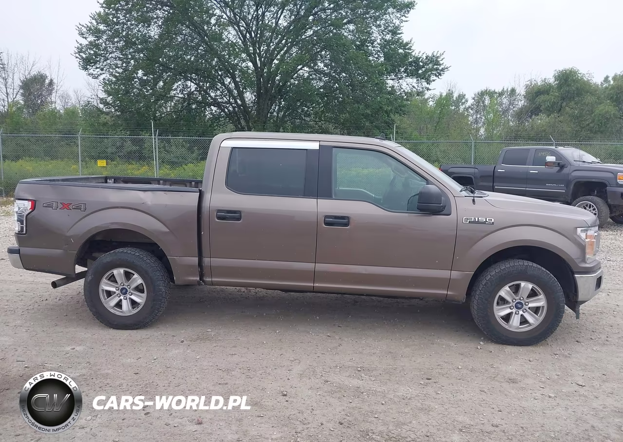 2019 Ford F-150 Xlt VIN:1FTEW1EP8KKD76937 - 13