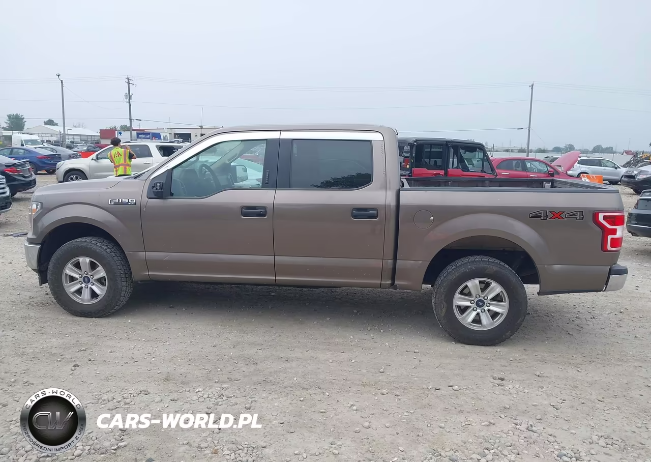 2019 Ford F-150 Xlt VIN:1FTEW1EP8KKD76937 - 14