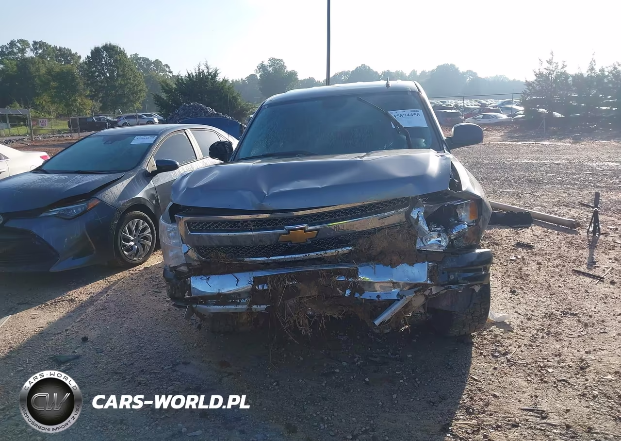 2013 Chevrolet Silverado 1500 Lt VIN:3GCPKSE73DG290102 - 12
