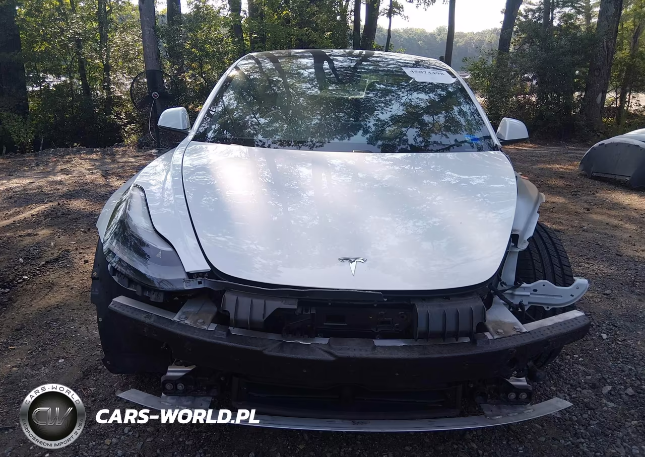 2021 Tesla Model 3 Long Range Dual Motor All-Wheel Drive VIN:5YJ3E1EB8MF980616 - 12