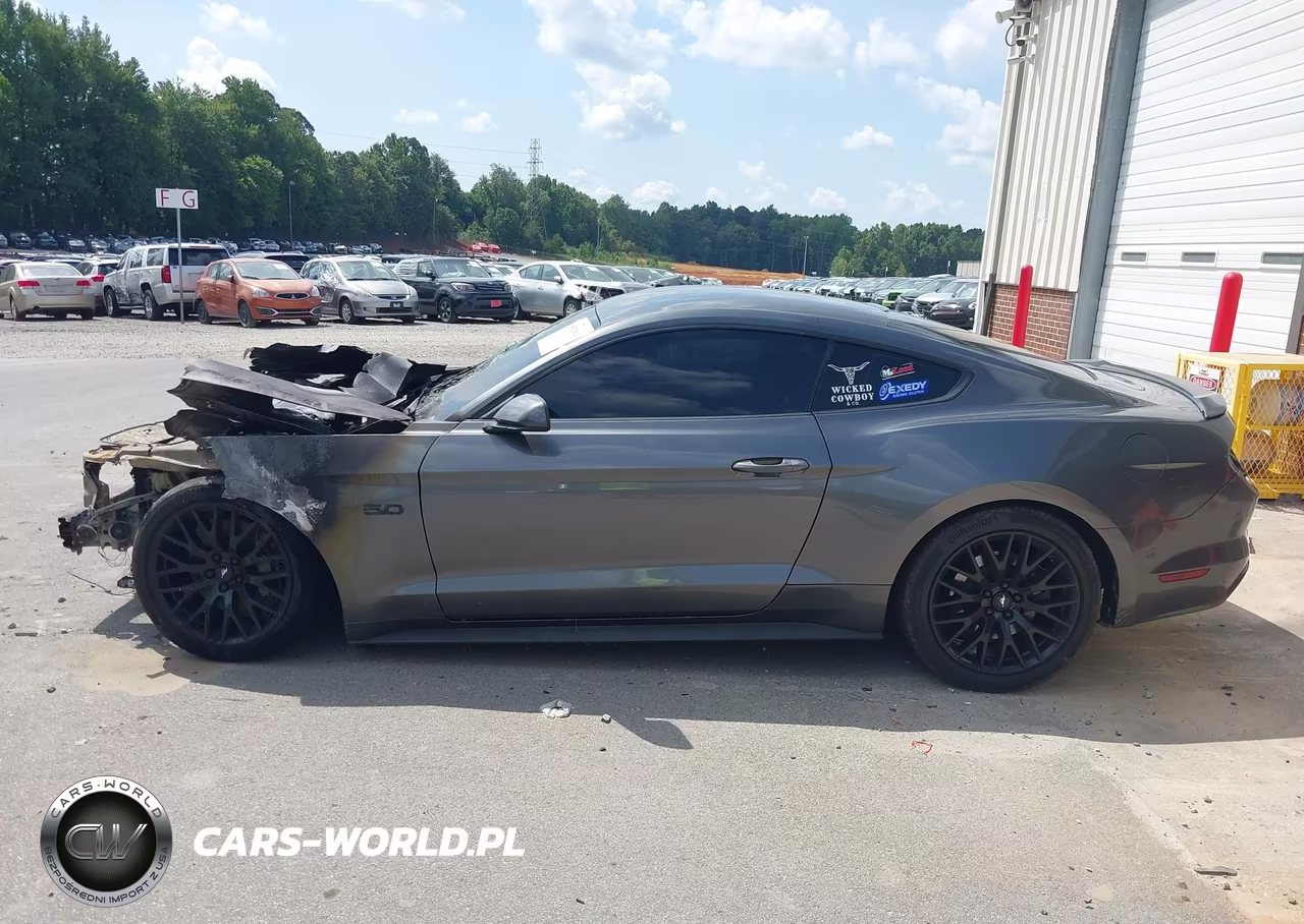 2017 Ford Mustang Gt VIN:1FA6P8CF4H5272110 - 13