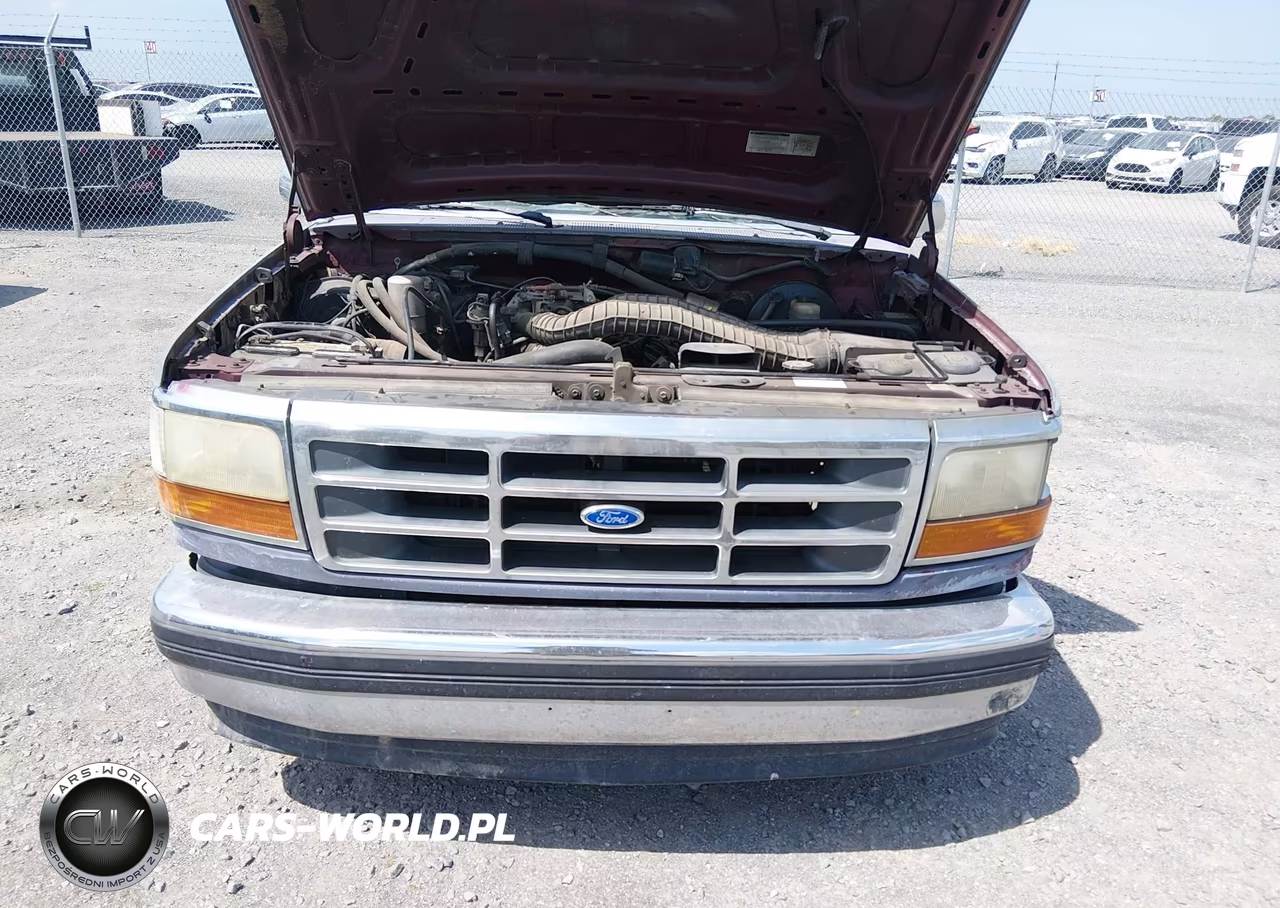 1993 Ford F150 VIN:1FTDF15N3PNA23926 - 10