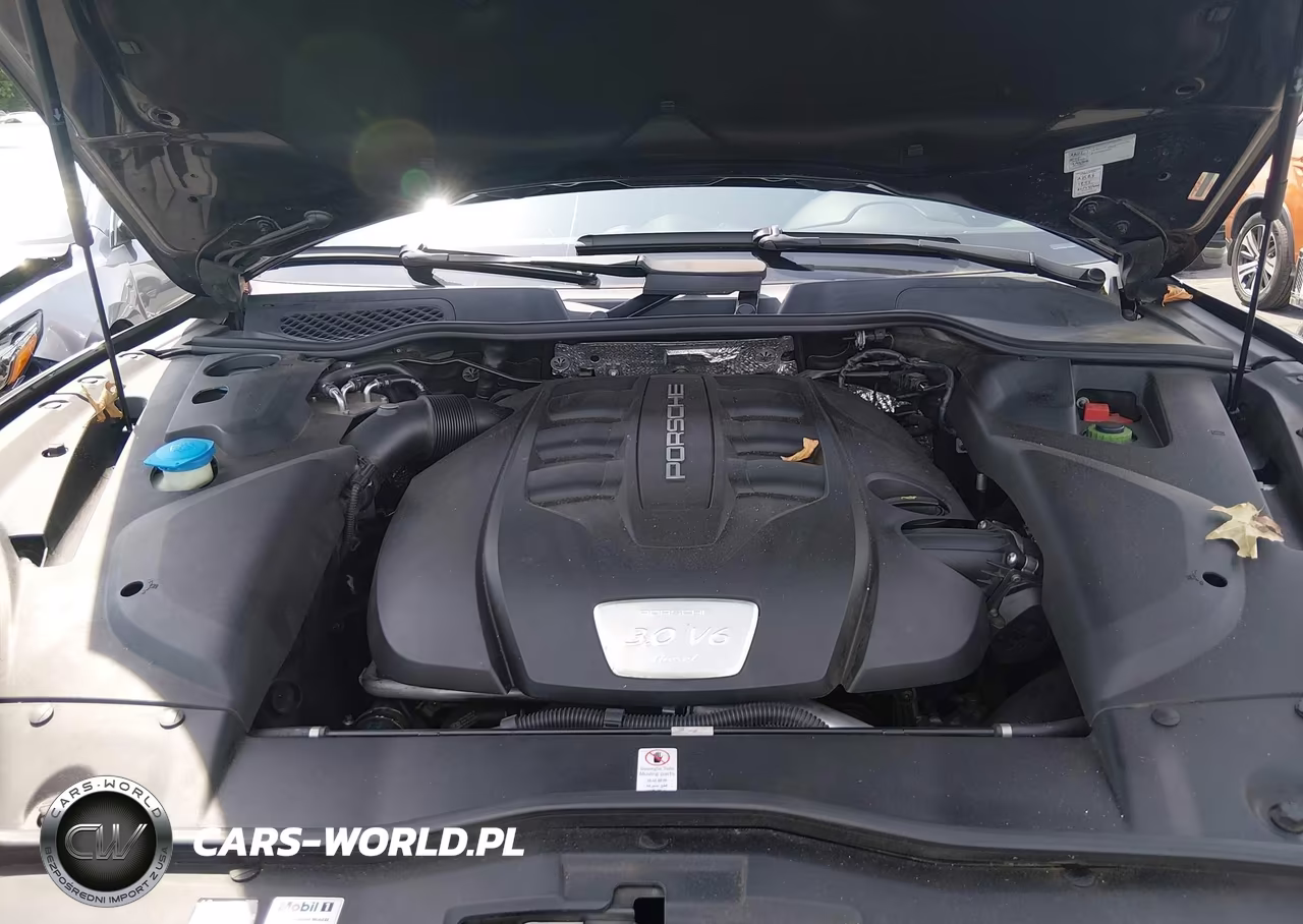 2015 Porsche Cayenne Diesel VIN:WP1AF2A27FLA30651 - 10