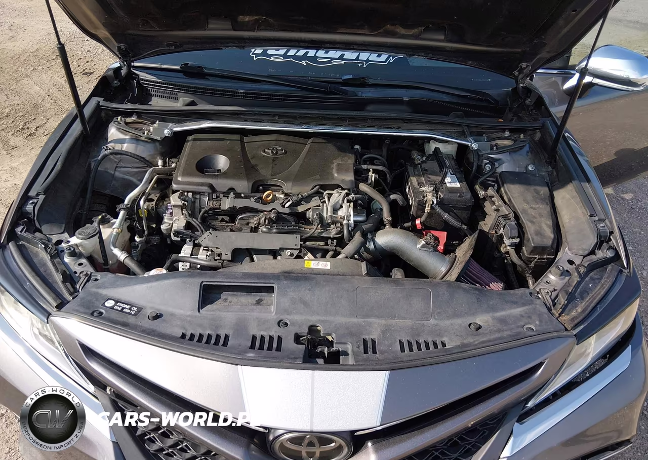 2018 Toyota Camry Se VIN:4T1B11HK8JU581173 - 10